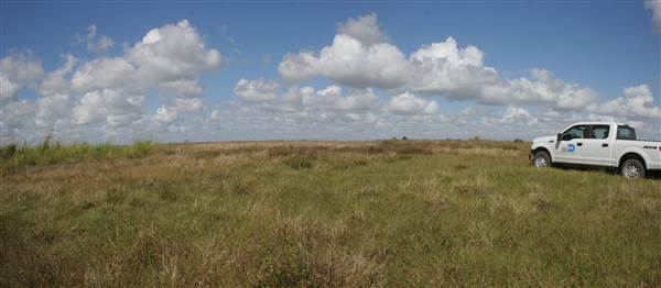 South Dade Wetlands (4/16/2015 - Credits: Dorothea "Dee" Belz)