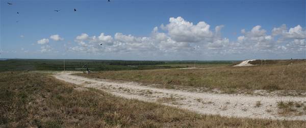 South Dade Wetlands (4/16/2015 - Credits: Dorothea "Dee" Belz)