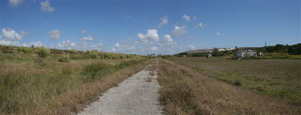 South Dade Wetlands (4/16/2015 - Credits: Dorothea "Dee" Belz)