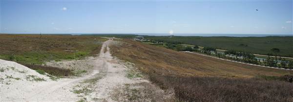 South Dade Wetlands (4/16/2015 - Credits: Dorothea "Dee" Belz)