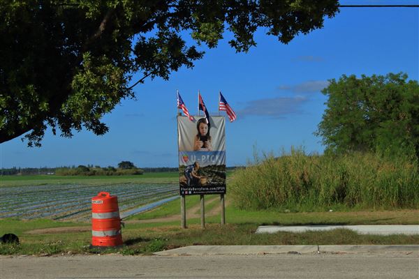 West Kendall U-Pic (12/28/2021 - Credits: Dorothea "Dee" Belz)