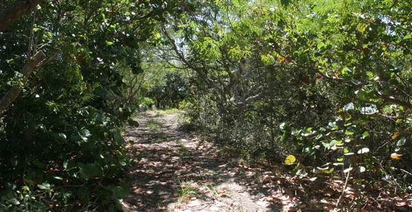 South Dade Wetlands (4/16/2015 - Credits: Dorothea "Dee" Belz)
