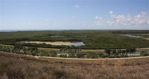 South Dade Wetlands (4/16/2015 - Credits: Dorothea "Dee" Belz)