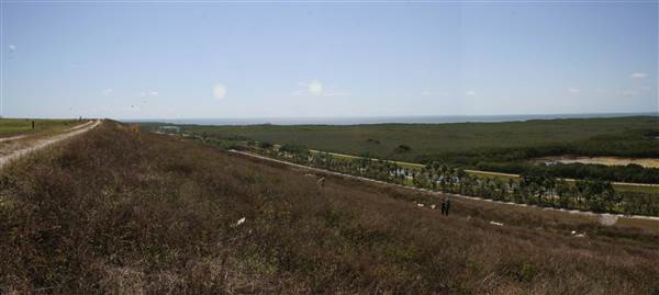 South Dade Wetlands (4/16/2015 - Credits: Dorothea "Dee" Belz)