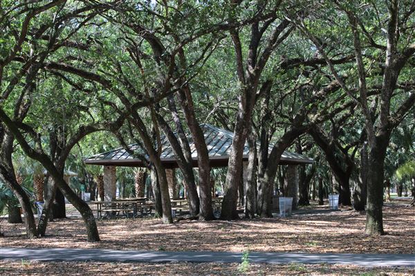 Kendall Indian Hammocks