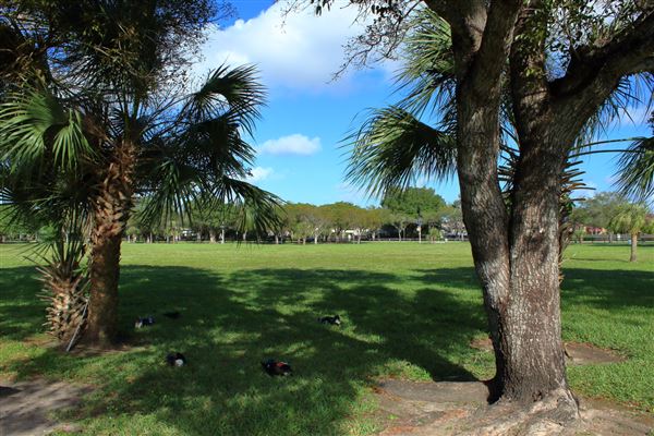 Lago Mar Park