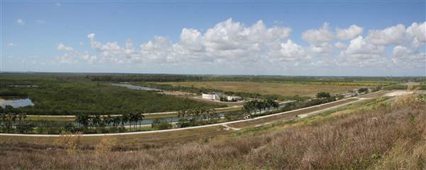 South Dade Wetlands (4/16/2015 - Credits: Dorothea "Dee" Belz)