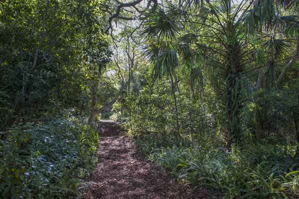 Arch Creek Park