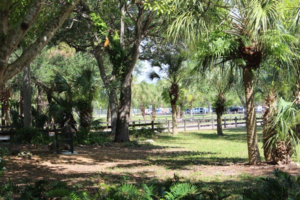Kendall Indian Hammocks