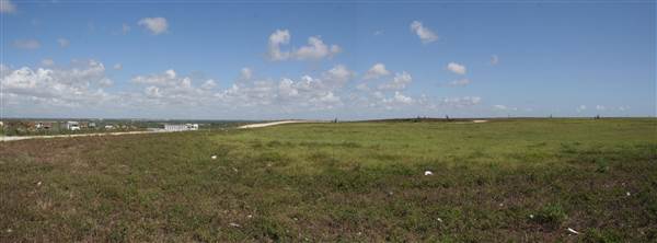 South Dade Wetlands (4/16/2015 - Credits: Dorothea "Dee" Belz)